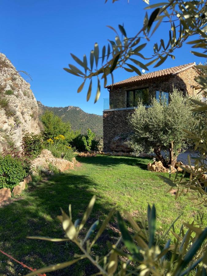 Casa Rural Piedra De La Torre Riópar Exterior foto